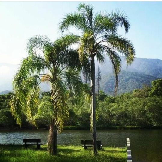 Suites Proximo Ao Rio Jaguareguava Em Bertioga Extérieur photo